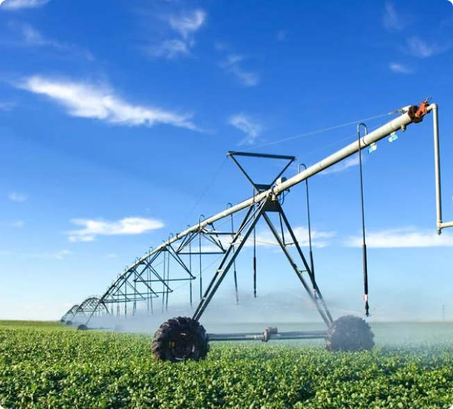 Aerial view of a farm with an irrigation system, highlighting agricultural efficiency.